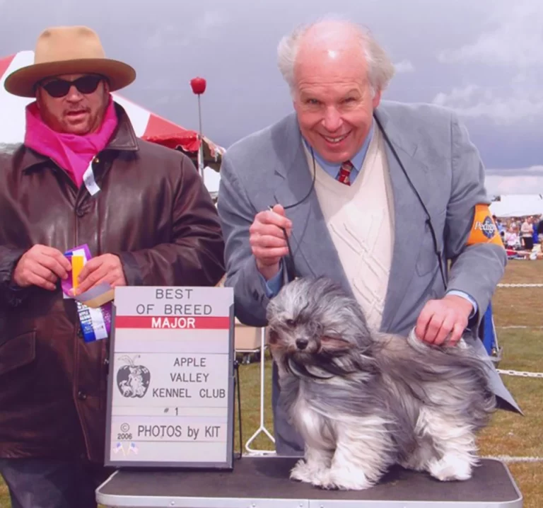 AKC Champion Havanese Southern California