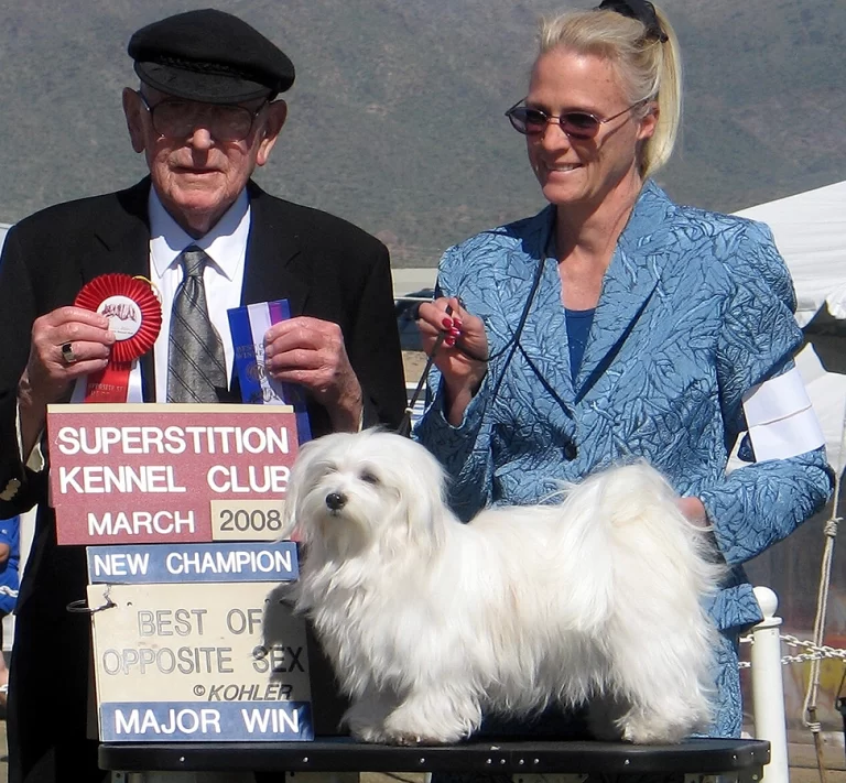 AKC Champion Havanese Southern California