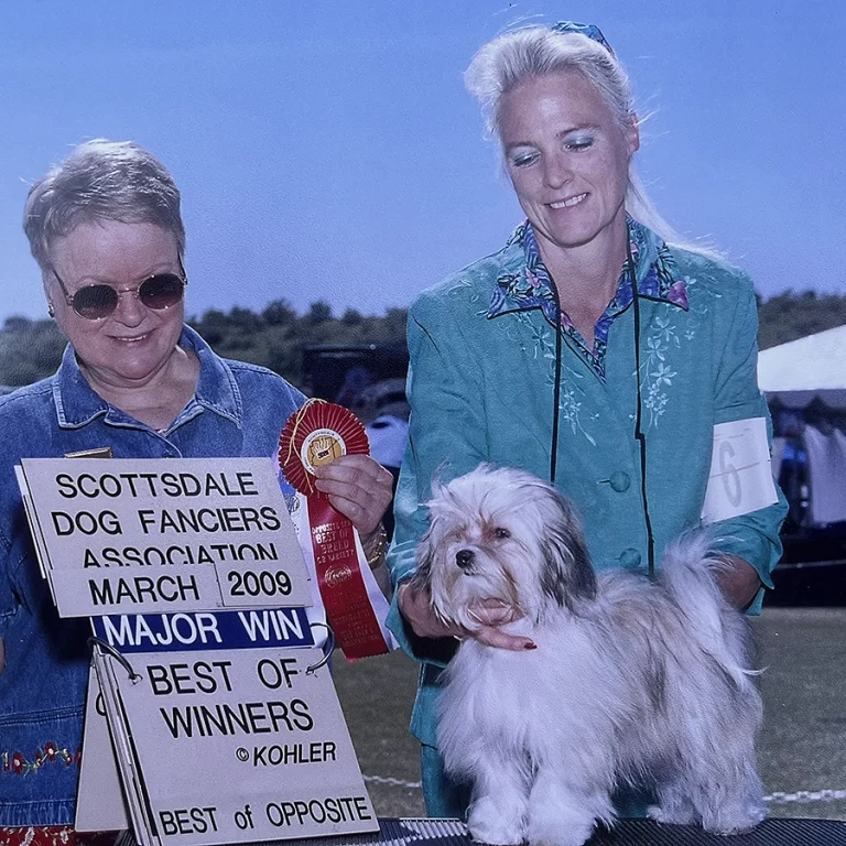 AKC Champion Havanese Southern California