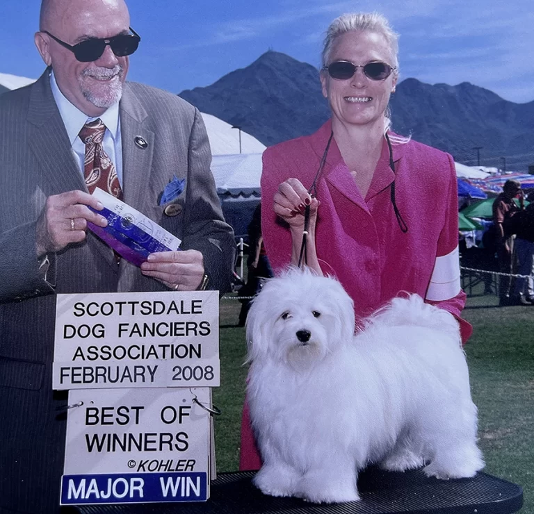 AKC Champion Havanese Southern California
