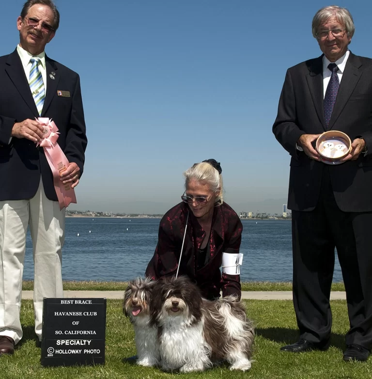 AKC Champion Havanese Southern California
