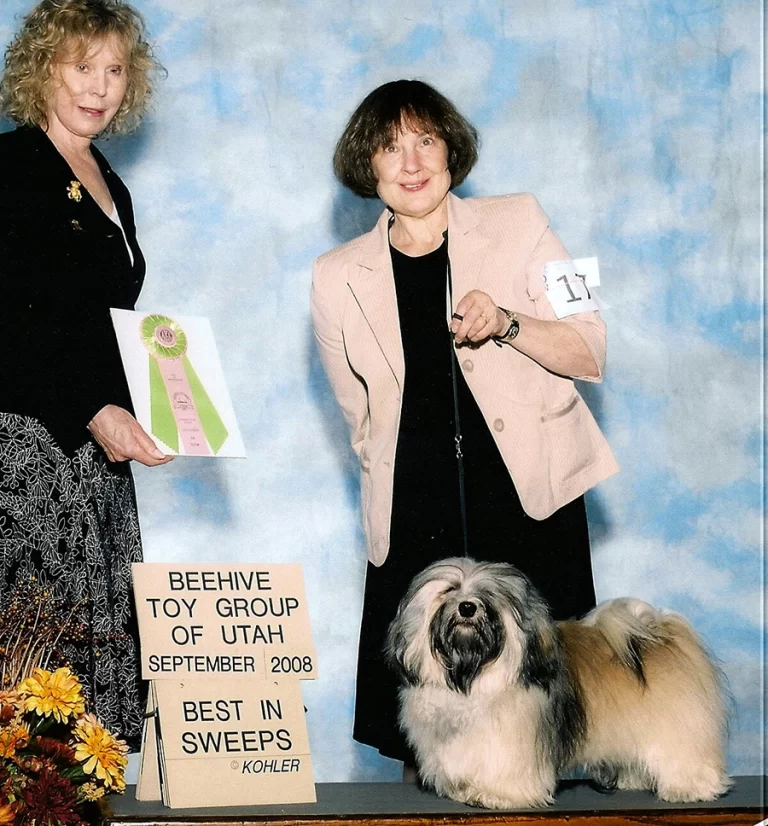 AKC Champion Havanese Southern California