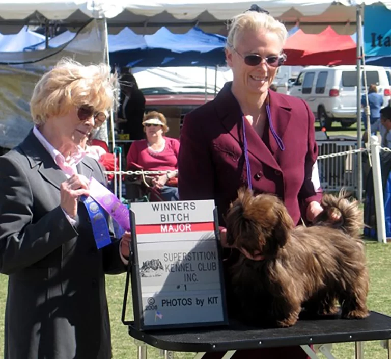 AKC Champion Havanese Southern California