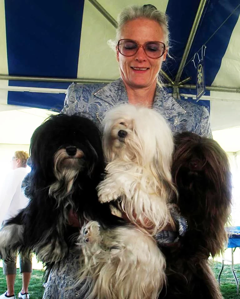 Havanese Southern California